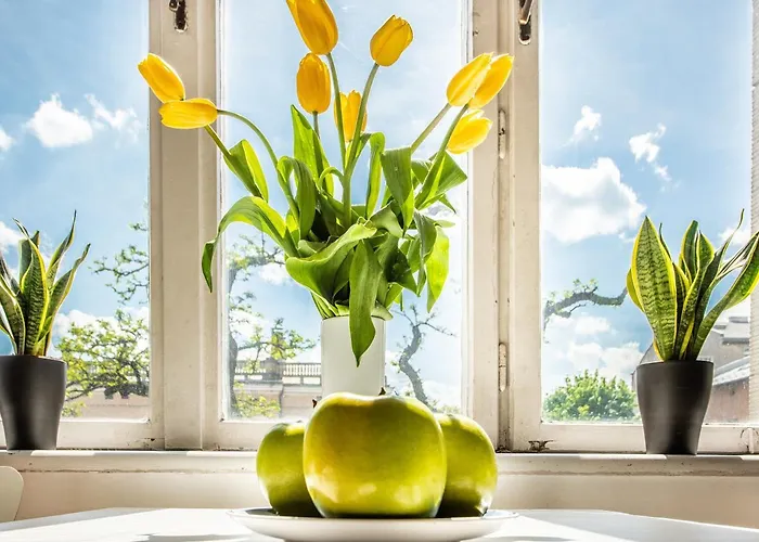 フラミンゴ プレミアム