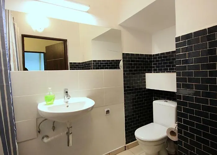 Flamingo Premium Auberge de jeunesse